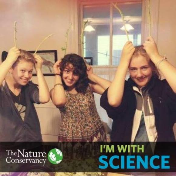 Meet your Posher, Phoebe - Picture 1 of 1